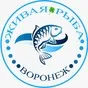 зарыбление Водоёмов Живая Рыба в Воронеже 3